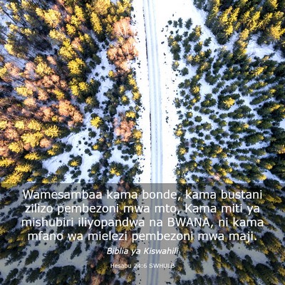 Picture 03 - Hesabu 24:6 SWHULB - Wamesambaa kama bonde, kama bustani zilizo - Bible Verse Picture