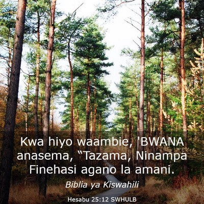 Picture 03 - Hesabu 25:12 SWHULB - Kwa hiyo waambie, 'BWANA anasema, “Tazama, - Bible Verse Picture