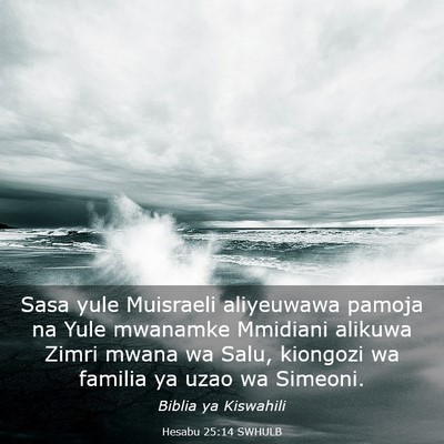 Picture 03 - Hesabu 25:14 SWHULB - Sasa yule Muisraeli aliyeuwawa pamoja na Yule - Bible Verse Picture