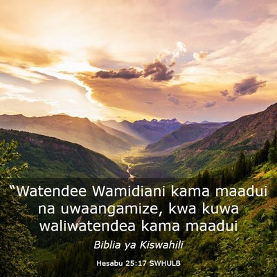 Picture 03 - Hesabu 25:17 SWHULB - “Watendee Wamidiani kama maadui na uwaangamize, - Bible Verse Picture