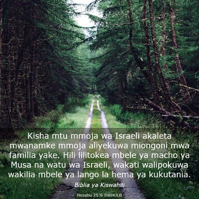 Picture 03 - Hesabu 25:6 SWHULB - Kisha mtu mmoja wa Israeli akaleta mwanamke mmoja - Bible Verse Picture