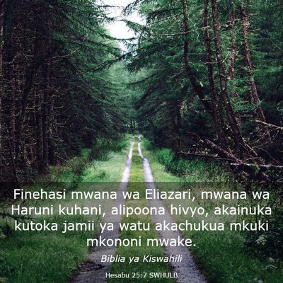 Picture 03 - Hesabu 25:7 SWHULB - Finehasi mwana wa Eliazari, mwana wa Haruni - Bible Verse Picture