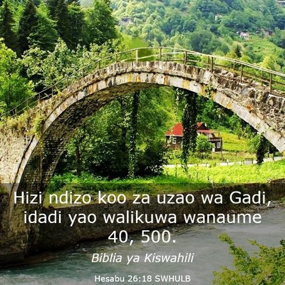 Picture 03 - Hesabu 26:18 SWHULB - Hizi ndizo koo za uzao wa Gadi, idadi yao - Bible Verse Picture
