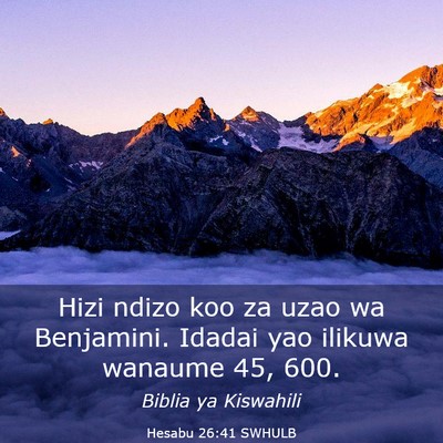 Picture 03 - Hesabu 26:41 SWHULB - Hizi ndizo koo za uzao wa Benjamini. Idadai yao - Bible Verse Picture