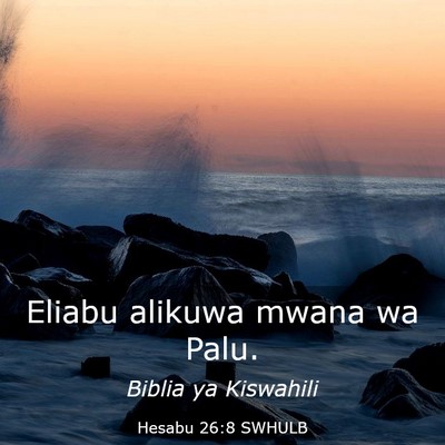 Picture 03 - Hesabu 26:8 SWHULB - Eliabu alikuwa mwana wa - Bible Verse Picture