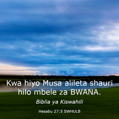 Picture 03 - Hesabu 27:5 SWHULB - Kwa hiyo Musa alileta shauri hilo mbele za - Bible Verse Picture