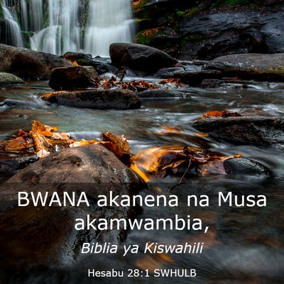 Picture 03 - Hesabu 28:1 SWHULB - BWANA akanena na Musa - Bible Verse Picture