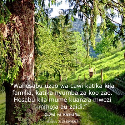 Picture 03 - Hesabu 3:15 SWHULB - “Wahesabu uzao wa Lawi katika kila familia, - Bible Verse Picture