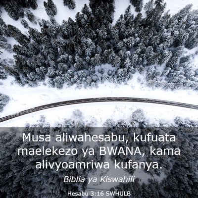 Picture 03 - Hesabu 3:16 SWHULB - Musa aliwahesabu, kufuata maelekezo ya BWANA, - Bible Verse Picture