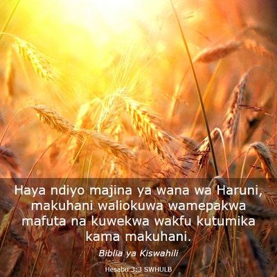 Picture 03 - Hesabu 3:3 SWHULB - Haya ndiyo majina ya wana wa Haruni, makuhani - Bible Verse Picture