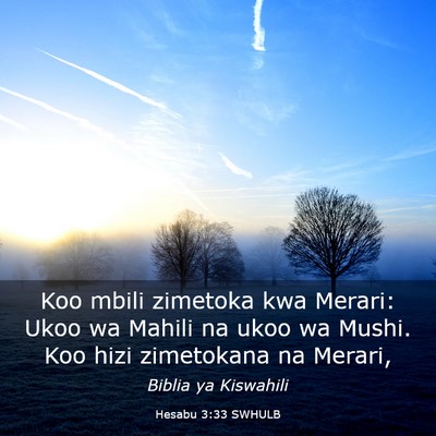 Picture 03 - Hesabu 3:33 SWHULB - Koo mbili zimetoka kwa Merari: Ukoo wa Mahili na - Bible Verse Picture