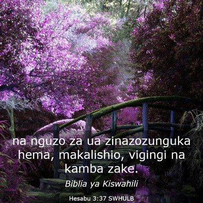 Picture 03 - Hesabu 3:37 SWHULB - na nguzo za ua zinazozunguka hema, makalishio, - Bible Verse Picture