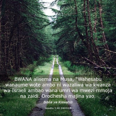 Picture 03 - Hesabu 3:40 SWHULB - BWANA alisema na Musa, “Wahesabu wanaume wote - Bible Verse Picture