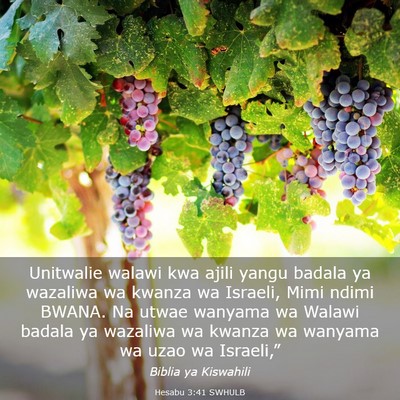 Picture 03 - Hesabu 3:41 SWHULB - Unitwalie walawi kwa ajili yangu badala ya - Bible Verse Picture