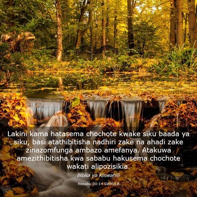 Picture 03 - Hesabu 30:14 SWHULB - Lakini kama hatasema chochote kwake siku baada ya - Bible Verse Picture