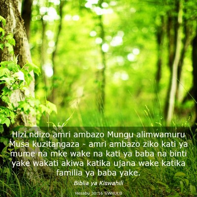 Picture 03 - Hesabu 30:16 SWHULB - Hizi ndizo amri ambazo Mungu alimwamuru Musa - Bible Verse Picture
