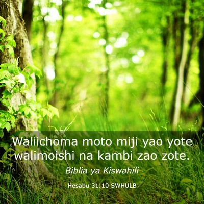 Picture 03 - Hesabu 31:10 SWHULB - Waliichoma moto miji yao yote walimoishi na kambi - Bible Verse Picture