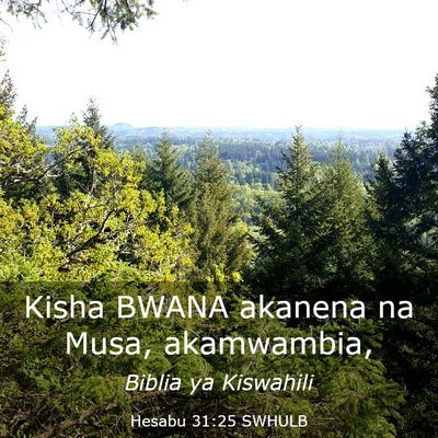 Picture 03 - Hesabu 31:25 SWHULB - Kisha BWANA akanena na Musa, - Bible Verse Picture
