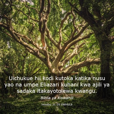 Picture 03 - Hesabu 31:29 SWHULB - Uichukue hii kodi kutoka katika nusu yao na umpe - Bible Verse Picture
