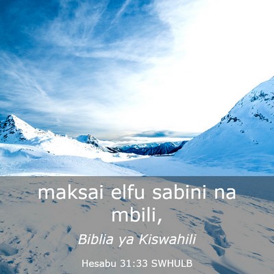 Picture 03 - Hesabu 31:33 SWHULB - maksai elfu sabini na - Bible Verse Picture