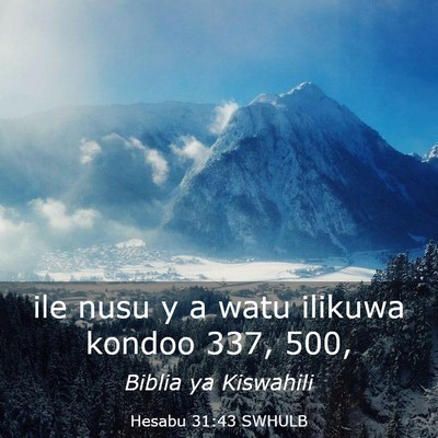 Picture 03 - Hesabu 31:43 SWHULB - ile nusu y a watu ilikuwa kondoo 337, - Bible Verse Picture