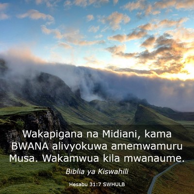 Picture 03 - Hesabu 31:7 SWHULB - Wakapigana na Midiani, kama BWANA alivyokuwa - Bible Verse Picture