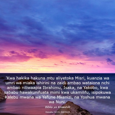 Picture 03 - Hesabu 32:11 SWHULB - 'Kwa hakika hakuna mtu aliyetoka Misri, kuanzia - Bible Verse Picture