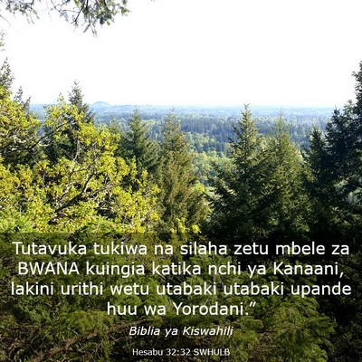 Picture 03 - Hesabu 32:32 SWHULB - Tutavuka tukiwa na silaha zetu mbele za BWANA - Bible Verse Picture