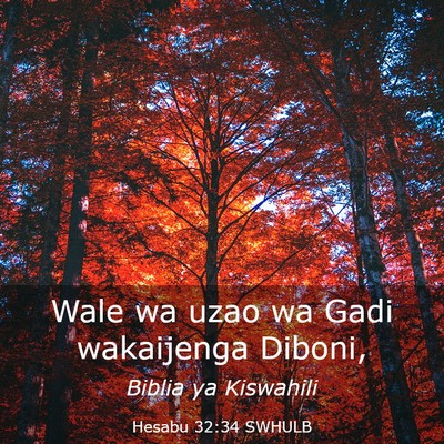 Picture 03 - Hesabu 32:34 SWHULB - Wale wa uzao wa Gadi wakaijenga - Bible Verse Picture