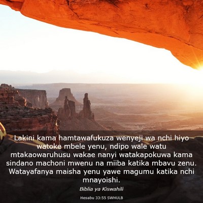 Picture 03 - Hesabu 33:55 SWHULB - Lakini kama hamtawafukuza wenyeji wa nchi hiyo - Bible Verse Picture
