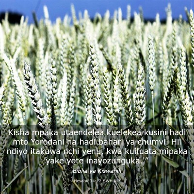 Picture 03 - Hesabu 34:12 SWHULB - Kisha mpaka utaendelea kuelekea kusini hadi mto - Bible Verse Picture
