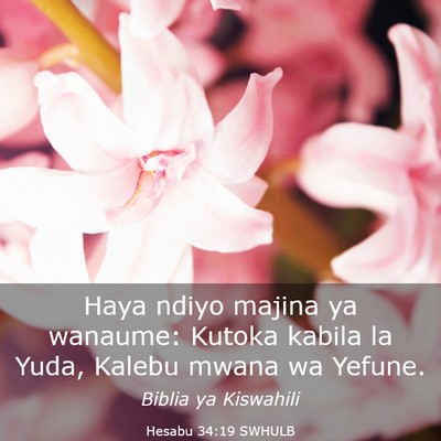 Picture 03 - Hesabu 34:19 SWHULB - Haya ndiyo majina ya wanaume: Kutoka kabila la - Bible Verse Picture