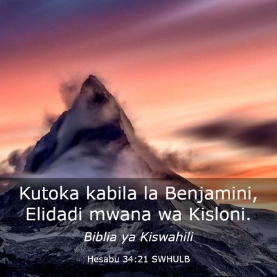 Picture 03 - Hesabu 34:21 SWHULB - Kutoka kabila la Benjamini, Elidadi mwana wa - Bible Verse Picture