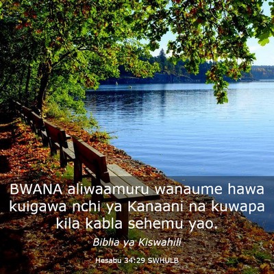 Picture 03 - Hesabu 34:29 SWHULB - BWANA aliwaamuru wanaume hawa kuigawa nchi ya - Bible Verse Picture
