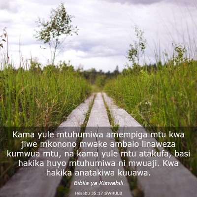 Picture 03 - Hesabu 35:17 SWHULB - Kama yule mtuhumiwa amempiga mtu kwa jiwe mkonono - Bible Verse Picture