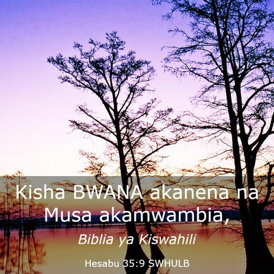 Picture 03 - Hesabu 35:9 SWHULB - Kisha BWANA akanena na Musa - Bible Verse Picture