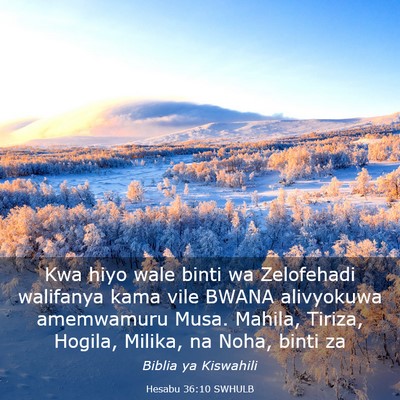 Picture 03 - Hesabu 36:10 SWHULB - Kwa hiyo wale binti wa Zelofehadi walifanya kama - Bible Verse Picture