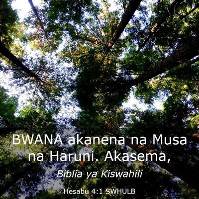 Picture 03 - Hesabu 4:1 SWHULB - BWANA akanena na Musa na Haruni. - Bible Verse Picture