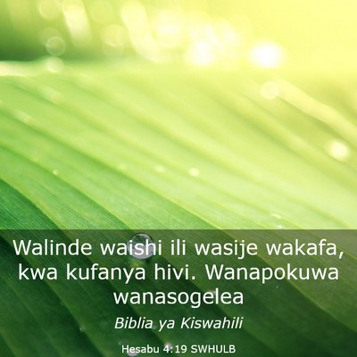 Picture 03 - Hesabu 4:19 SWHULB - Walinde waishi ili wasije wakafa, kwa kufanya - Bible Verse Picture
