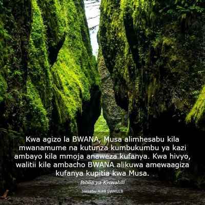 Picture 03 - Hesabu 4:49 SWHULB - Kwa agizo la BWANA, Musa alimhesabu kila - Bible Verse Picture