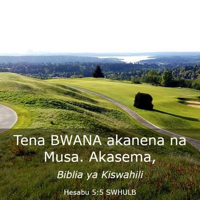 Picture 03 - Hesabu 5:5 SWHULB - Tena BWANA akanena na Musa. - Bible Verse Picture
