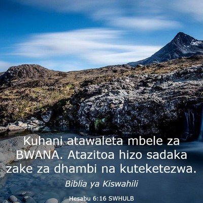 Picture 03 - Hesabu 6:16 SWHULB - Kuhani atawaleta mbele za BWANA. Atazitoa hizo - Bible Verse Picture