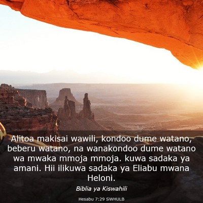 Picture 03 - Hesabu 7:29 SWHULB - Alitoa makisai wawili, kondoo dume watano, beberu - Bible Verse Picture