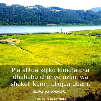 Picture 03 - Hesabu 7:38 SWHULB - Pia alitoa kijiko kimoja cha dhahabu chenye uzani - Bible Verse Picture