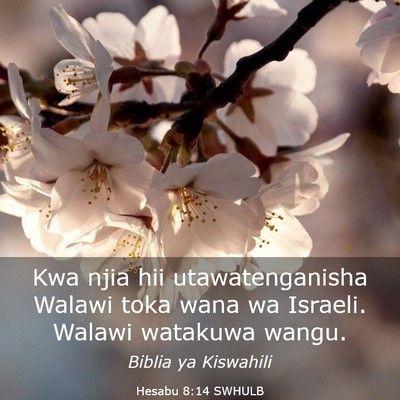 Picture 03 - Hesabu 8:14 SWHULB - Kwa njia hii utawatenganisha Walawi toka wana wa - Bible Verse Picture