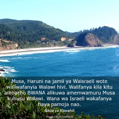 Picture 03 - Hesabu 8:20 SWHULB - Musa, Haruni na jamii ya Waisraeli wote - Bible Verse Picture