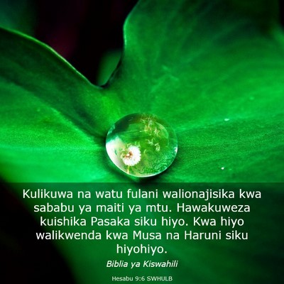 Picture 03 - Hesabu 9:6 SWHULB - Kulikuwa na watu fulani walionajisika kwa sababu - Bible Verse Picture