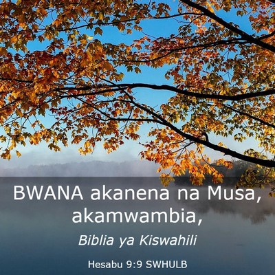 Picture 03 - Hesabu 9:9 SWHULB - BWANA akanena na Musa, - Bible Verse Picture