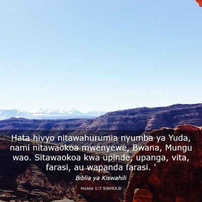 Picture 03 - Hosea 1:7 SWHULB - Hata hivyo nitawahurumia nyumba ya Yuda, nami - Bible Verse Picture