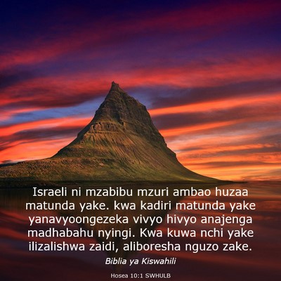 Picture 03 - Hosea 10:1 SWHULB - Israeli ni mzabibu mzuri ambao huzaa matunda - Bible Verse Picture
